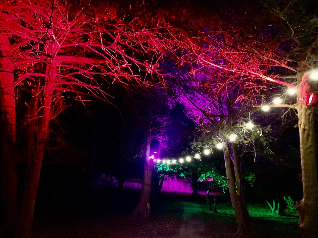 Clevedon Christmas Lights 2020